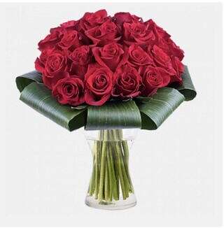 24 Red Roses in a Vase Modern