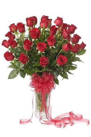 36 Red Roses in a vase